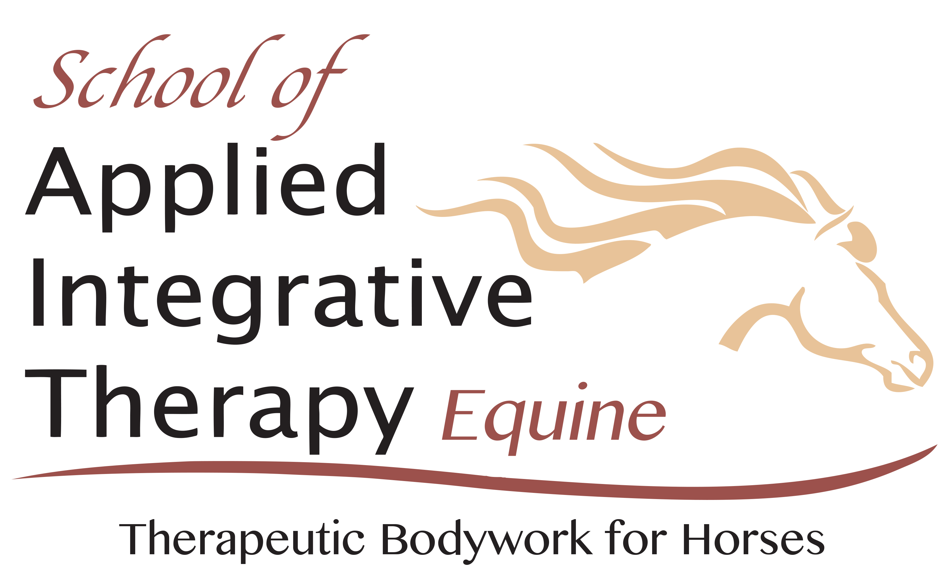 School of Applied Integrative Therapy