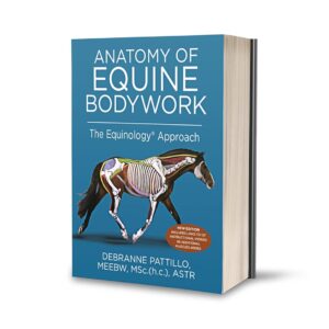 Anatomy of Equine Bodywork: The Equinology® Approach: 2025 Edition Hardcover – by ASTR Debranne Pattillo, MEEBW, MSc. (h.c.) (Author)