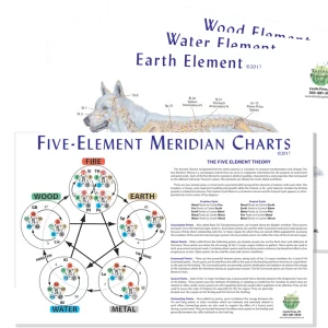 Canine 5-Element Meridian Chart Set