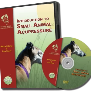 Small Animal Acupressure DVD