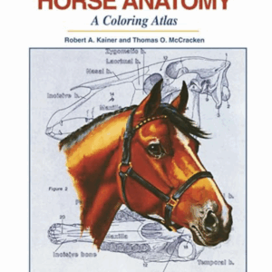 Horse Anatomy: A Coloring Atlas Spiral-bound – January 1, 1998 by Robert A Kainer (Author), Thomas O McCracken (Author)